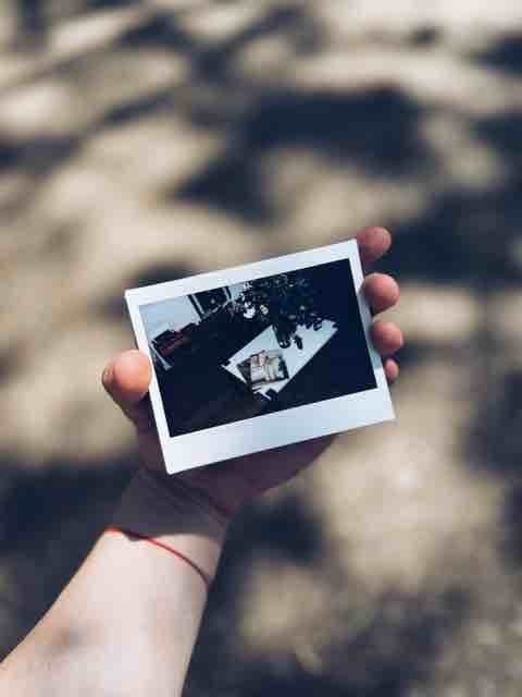 A hand holding an instant print of a table with flowers and magazines against a blurred, sunlit background