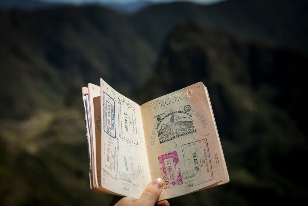 A hand holding an open passport filled with colourful travel stamps in front of a blurred mountain landscape